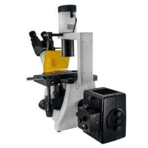B950 - MICROSCÓPIO INVERTIDO DE IMUNOFLUORESCÊNCIA-VERS-ESQ