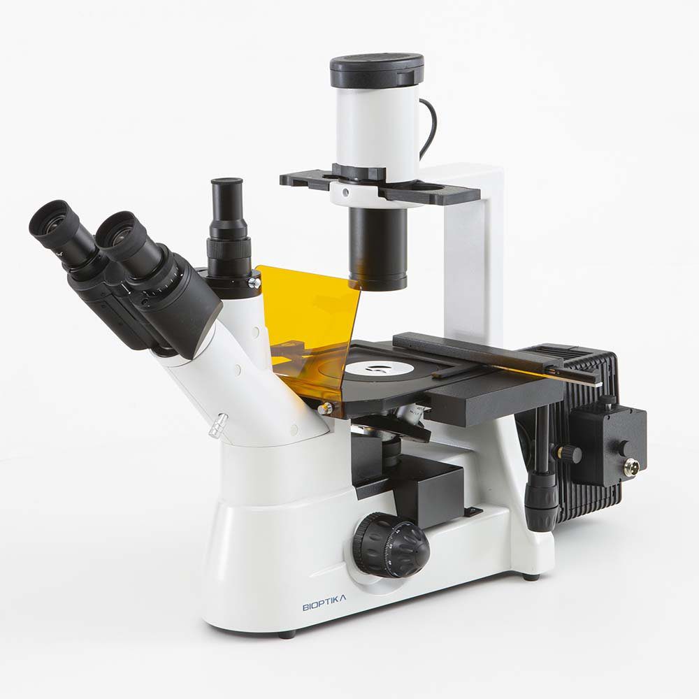 B950 – Microscópio Invertido de Imunofluorescência B950 - Microscópio Invertido de Imunofluorescência